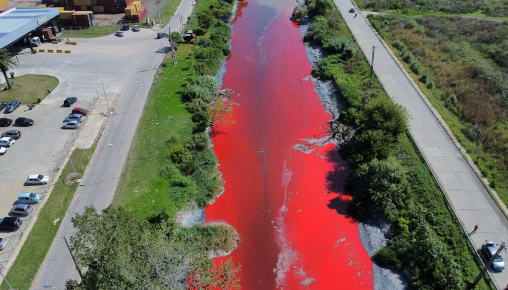 Alerta ambiental en&nbsp;Avellaneda