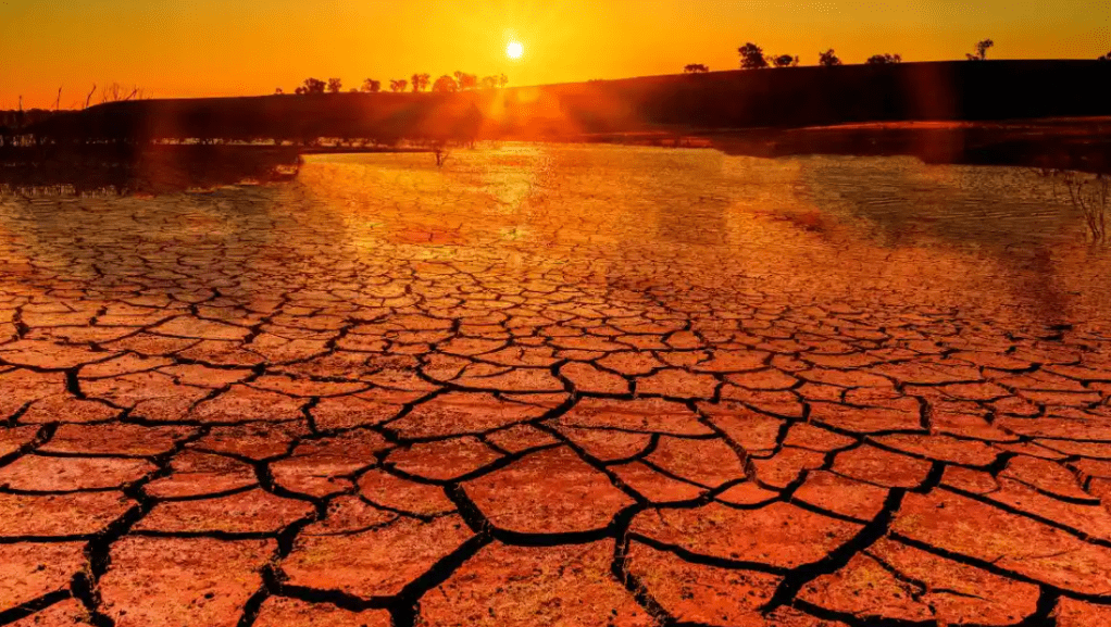 «La Contaminación: Un Desafío Global que Afecta a&nbsp;Todos»