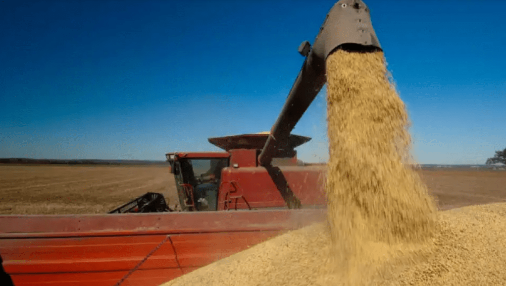 Argentina inauguró una agregaduría en Vietnam y proyecta ingresos por USD 3.000&nbsp;millones