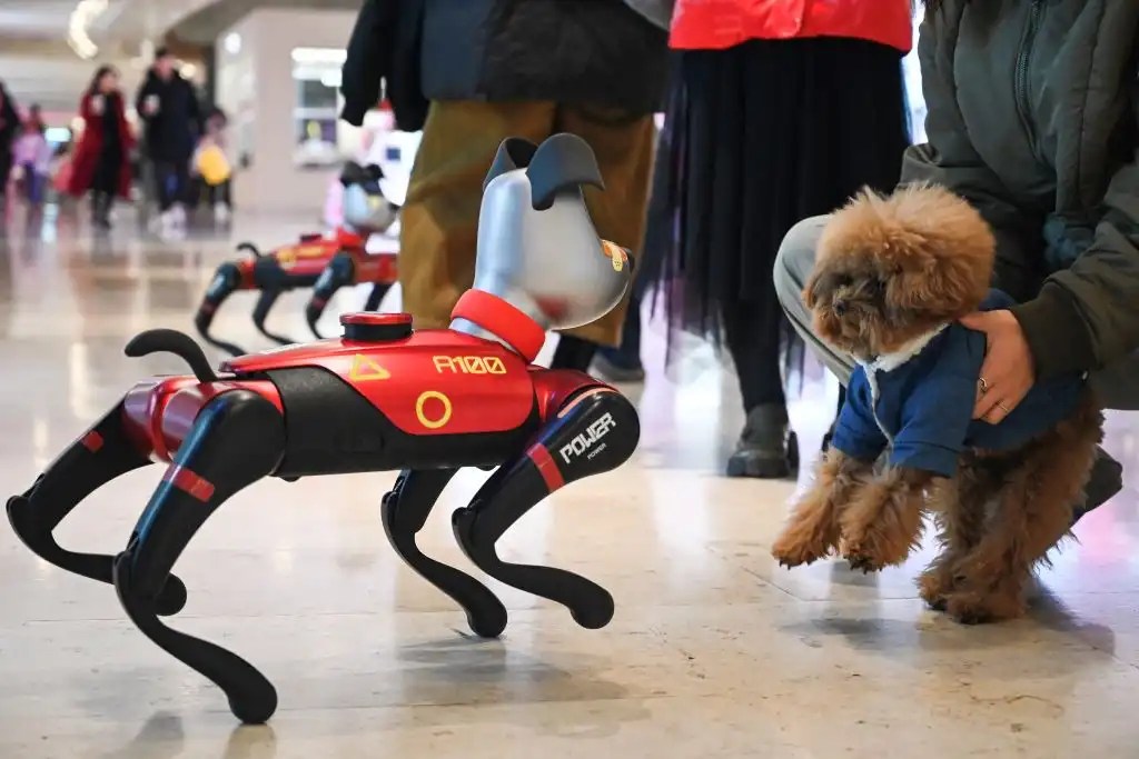 IA y mascotas: una convivencia cada vez más&nbsp;inteligente